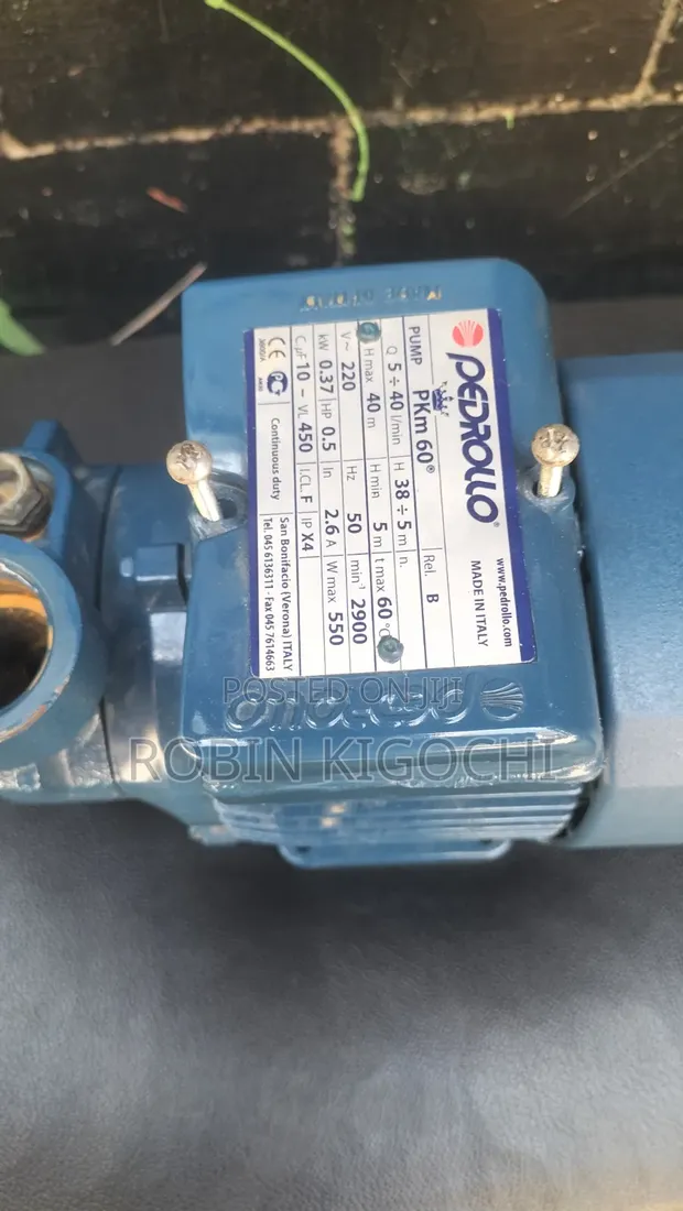 Pedrollo 0.5hp Water Pump - 1
