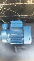 Pedrollo 0.5hp Water Pump - 3