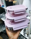 Vipande 3 vya Vyombo vya Chakula vya Borosilicate na Mkoba wa Insulation - 4