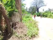 1 Acre Beachline Plot for Sale in Kanamai - 2