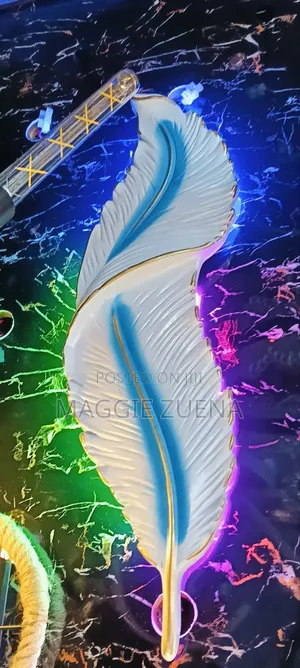 Multicolor Feather Design Wall Lamp