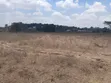 Prime Half Acre in Matasia, Ngong - KES 5.6M - 4