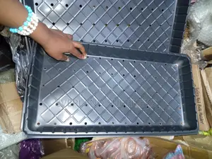 Hydroponic Trays with Holes