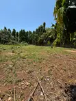 Kitalu Bora Cha Robo Acre Kinachouzwa Nyali Gated Community - 5