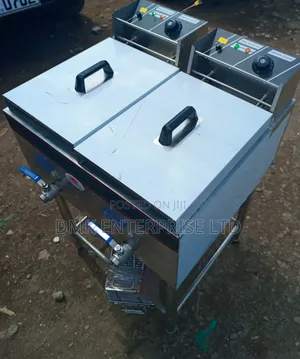 Best Imported Stainless Fryer