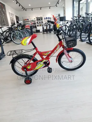 Baiskeli ya Watoto ya Inchi 16 ya Kustaajabisha kwa Kuendesha Kila Siku