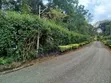 Eka 0.5 ya Ardhi Inauzwa Karen Muteero - 1