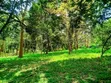 Eka 0.5 ya Ardhi Inauzwa Karen Muteero - 5