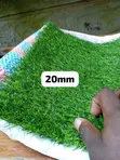 Premium Artificial Grass Carpet - 1