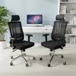 Office Chair - Black Mesh Ergonomic with Headrest - 1