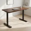 Electric Sit-Stand Home Office Desk - 1