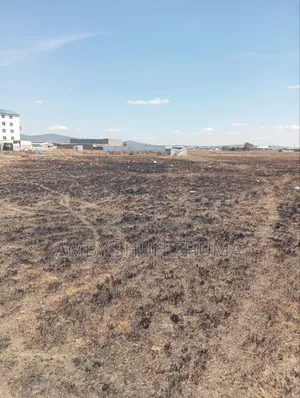 Malili Commercial Plots - 50x100