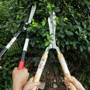 Telescopic Pruning Shears - Large Size