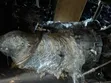 Toyota Mark X 4GR Gearbox (2WD) - 5