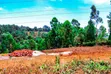 Vipande vya Ardhi vya Prime Kabete/Nyathuna Vinauzwa - 2