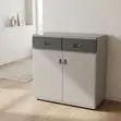 Double Drawer Bedroom Clothes Cabinet - Gray - 4