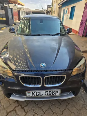 BMW X1 2011 Bluu