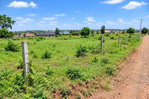 Land for Sale in Joska, 100x50