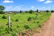 Land for Sale in Joska, 100x50 - 1