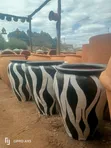 Vyungu vya Udongo vya Zebra - Vipya Kabisa - 1