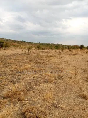 Kiu Farmland - 5 Acres, 4km Off Mombasa Road