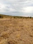 Kiu Farmland - 5 Acres, 4km Off Mombasa Road - 1