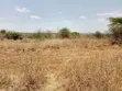 Ekari 2 za Ardhi ya Kilimo kwa Mauzo, Kiu, 5km Kutoka Mombasa Road - 2