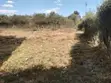 Ruai Bypass Land for Sale - 100x100 - 3
