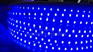 50M Blue LED Rope Light - 220V Waterproof