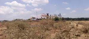 Vipande vya Robo Ekari kwa Mauzo Ngong Kimuka