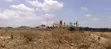 Vipande vya Robo Ekari kwa Mauzo Ngong Kimuka - 2