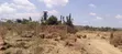 Vipande vya Robo Ekari kwa Mauzo Ngong Kimuka - 3
