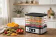 DSP Food Dehydrator - 1