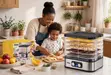 DSP Food Dehydrator - 2