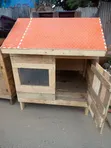 Kitalu cha Mbwa Mmoja - Kipya Kabisa - 1
