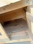Kitalu cha Mbwa Mmoja - Kipya Kabisa - 3