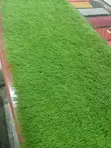 1M x 1M Green Outdoor Grass Carpet - 5