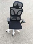 Office Orthopedic Highback Chairs (Brand New) - 1