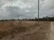 Kitalu Bora cha Chuna kwa Mauzo Kitengela - 4