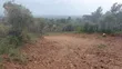 Prime 1/4 Acre Plot for Sale Opposite Wigot Gardens Resort, Kisumu - 1
