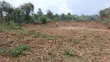 Prime 1/4 Acre Plot for Sale Opposite Wigot Gardens Resort, Kisumu - 2