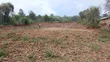 Prime 1/4 Acre Plot for Sale Opposite Wigot Gardens Resort, Kisumu - 4