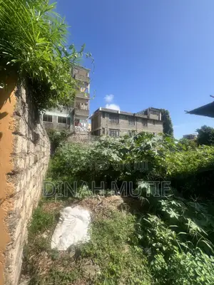 Nyali Prime Plot on Sale