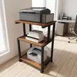 Stendi ya Printer ya Ofisi - Hifadhi ya Printer ya Nyumbani - 3