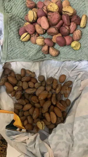 Kolanuts and Bitter Kola