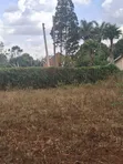 Thome Garden Estate: Prime 1/2 Acre in Gated Court - 1