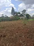 Thome Garden Estate: Prime 1/2 Acre in Gated Court - 3