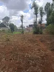 Thome Garden Estate: Prime 1/2 Acre in Gated Court - 4