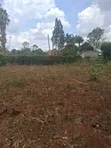 Thome Garden Estate: Prime 1/2 Acre in Gated Court - 5