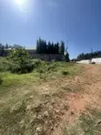 Nyali Prime Location Residential Plot - 3